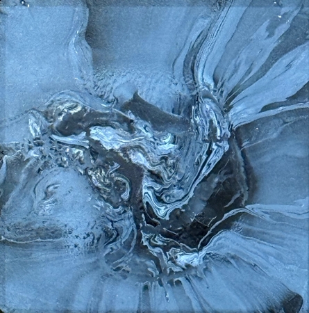 Black Night by artist Parker Flathouse